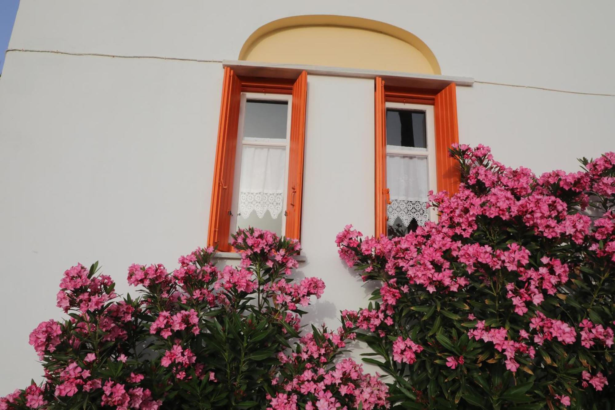 Panormos Apartments Εξωτερικό φωτογραφία